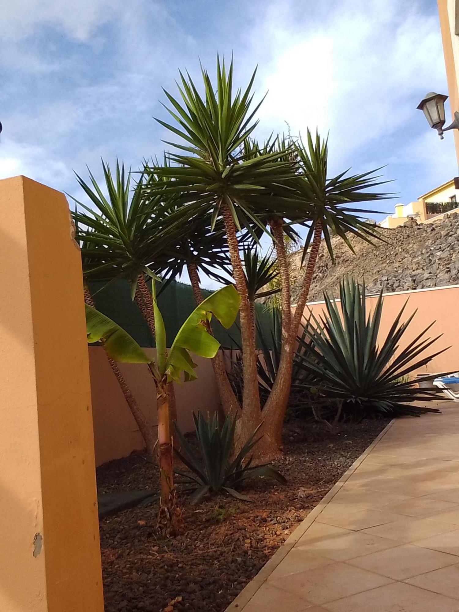 A Casa Di Ilaria Hostel Corralejo Ngoại thất bức ảnh
